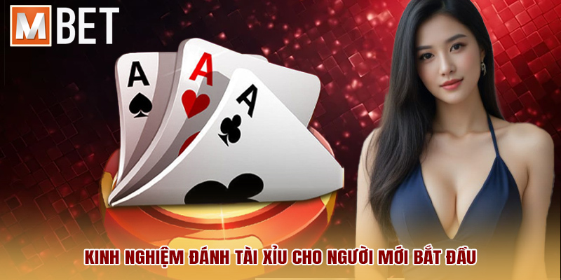 Kinh nghiệm đánh Tài Xỉu cho người mới bắt đầu